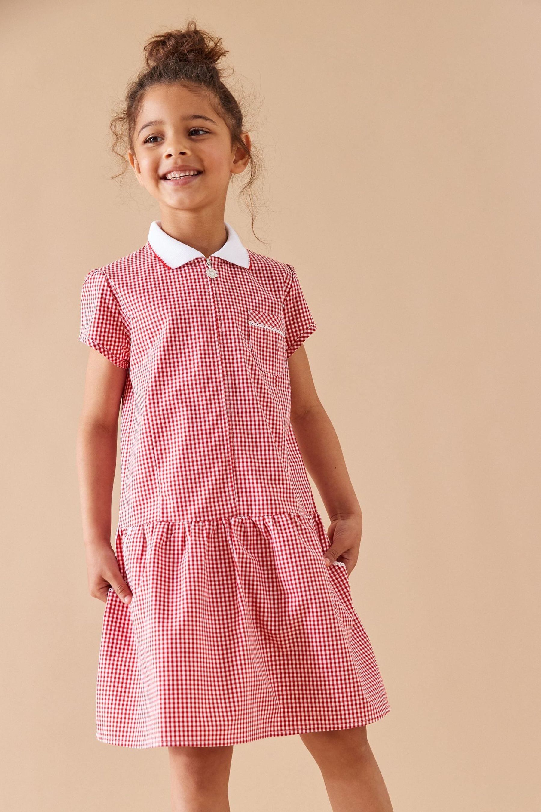 Zip up 2025 gingham school dress