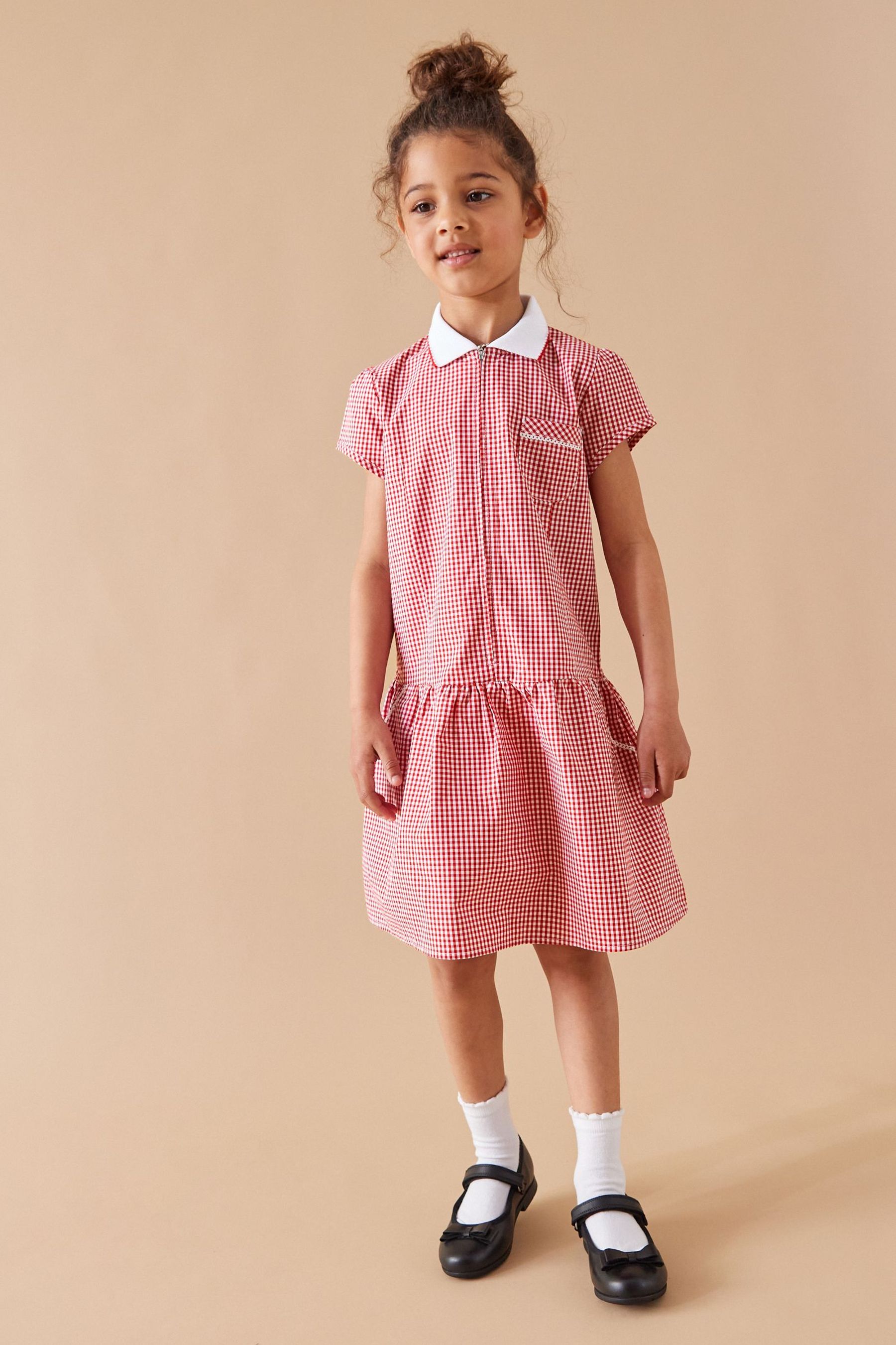 Zip up 2025 gingham school dress
