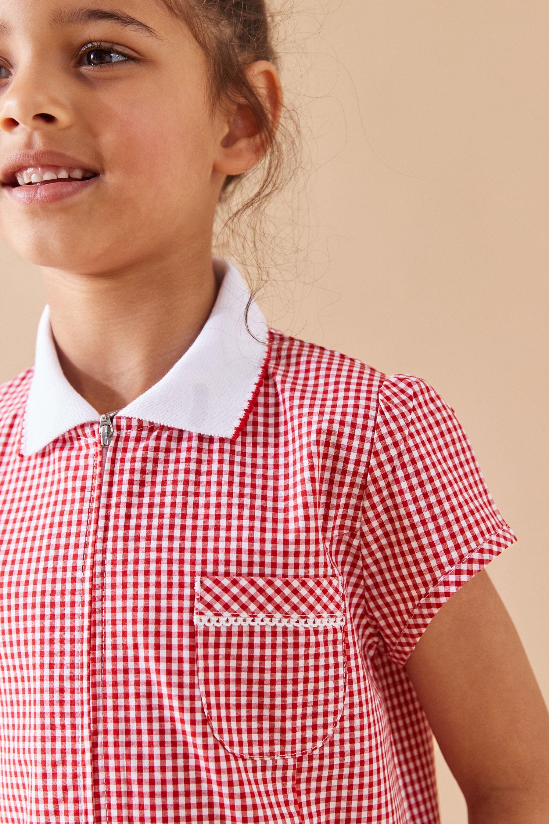 Gingham zip school dress sale