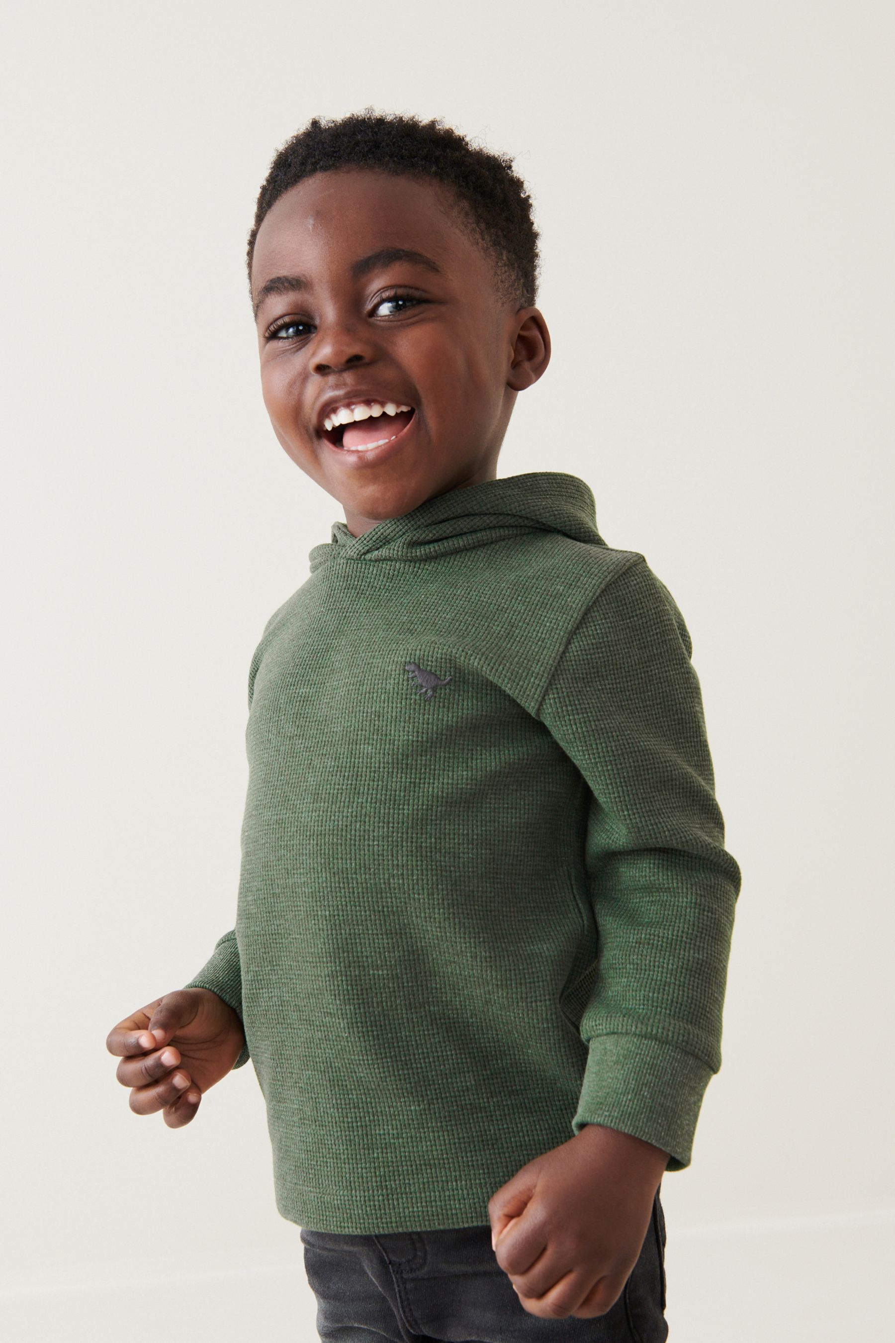 Buy Khaki Green Textured Jersey Dino Spikes Hoodie (3mths-10yrs) from the Next UK online shop