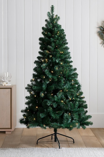 Buy Green Pre Lit Forest Pine 6ft Christmas Tree from the Next UK online shop