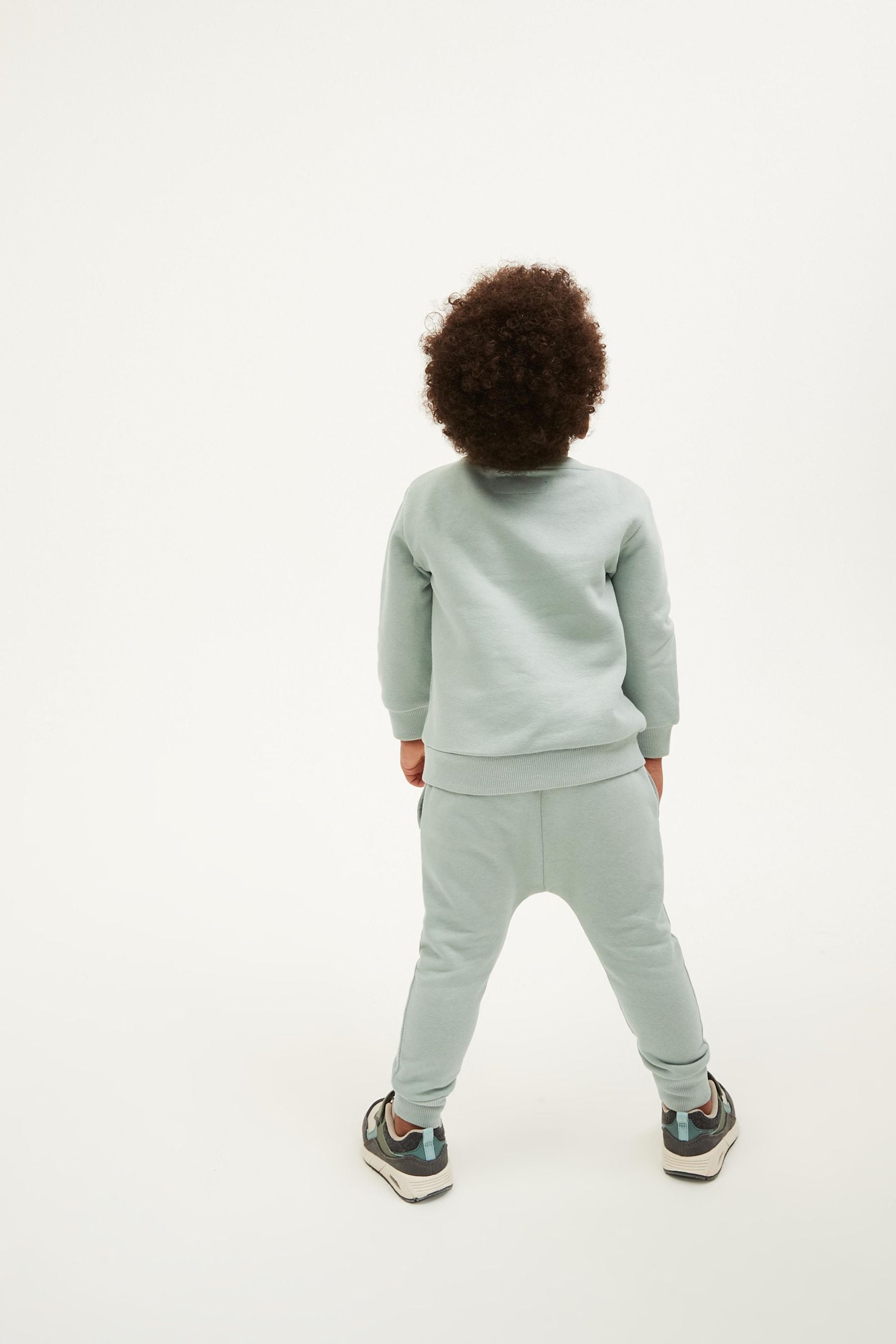 Buy Mint Green Next Jersey Sweatshirt And Joggers Set (3mths-7yrs) from ...