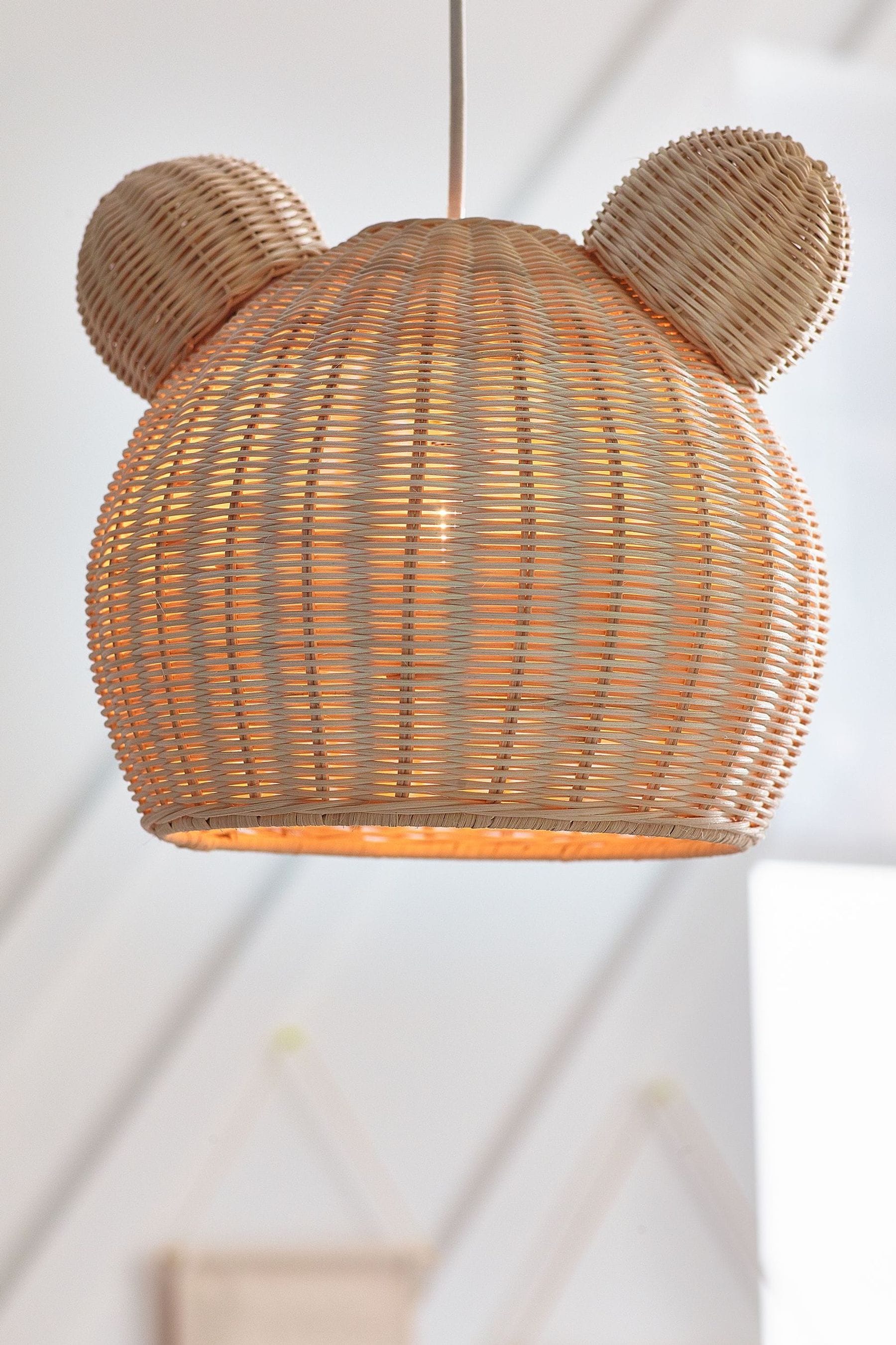 Teddy bear outlet ceiling lights