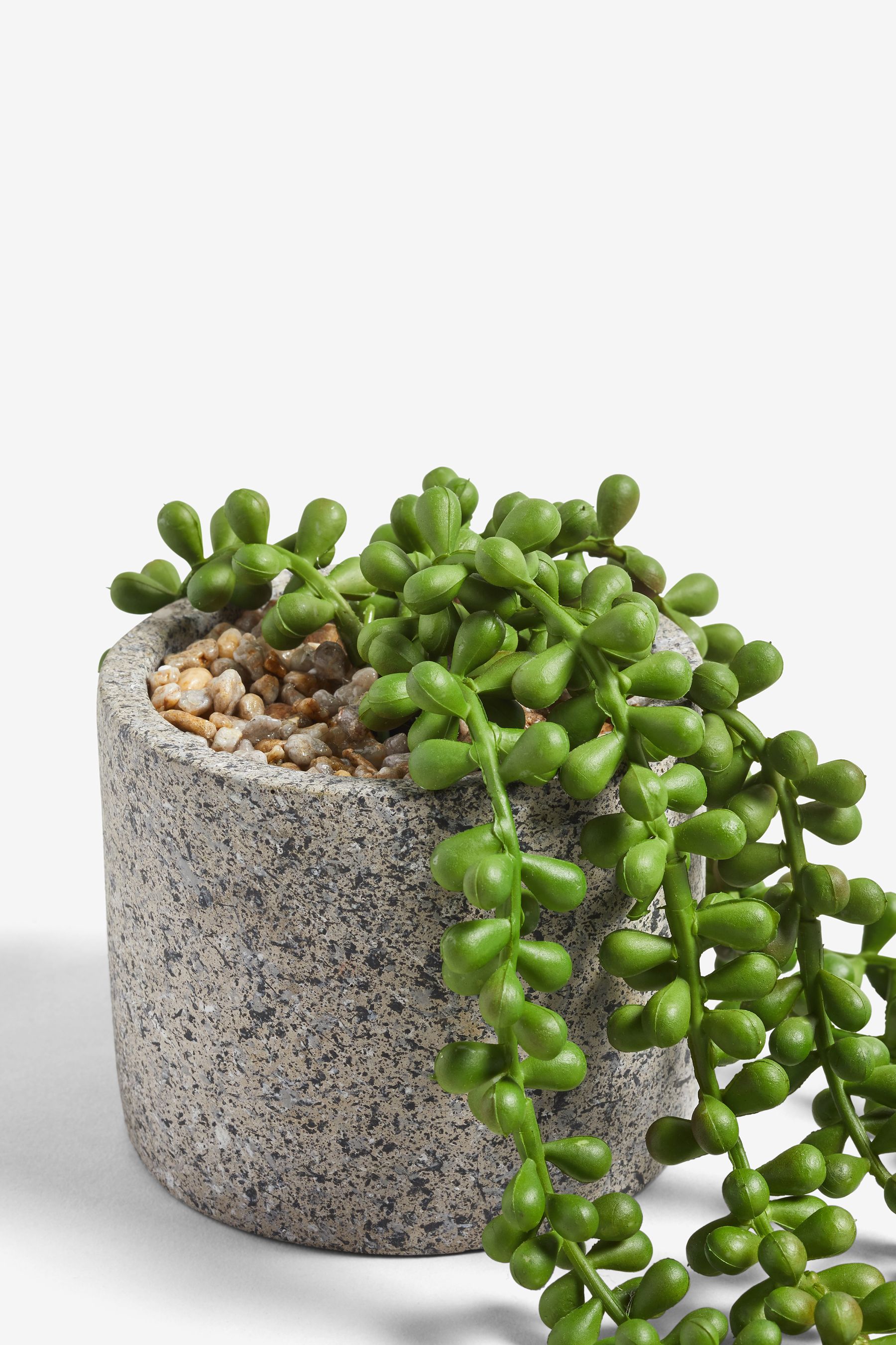 Buy Green Artificial Trailing Plant In Concrete Effect Pot from the