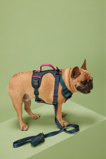 Teal Blue/Purple Animal Dog Harness