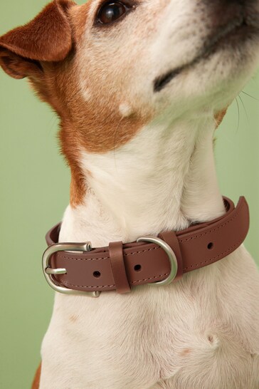 Tan Brown Leather Dog Collar