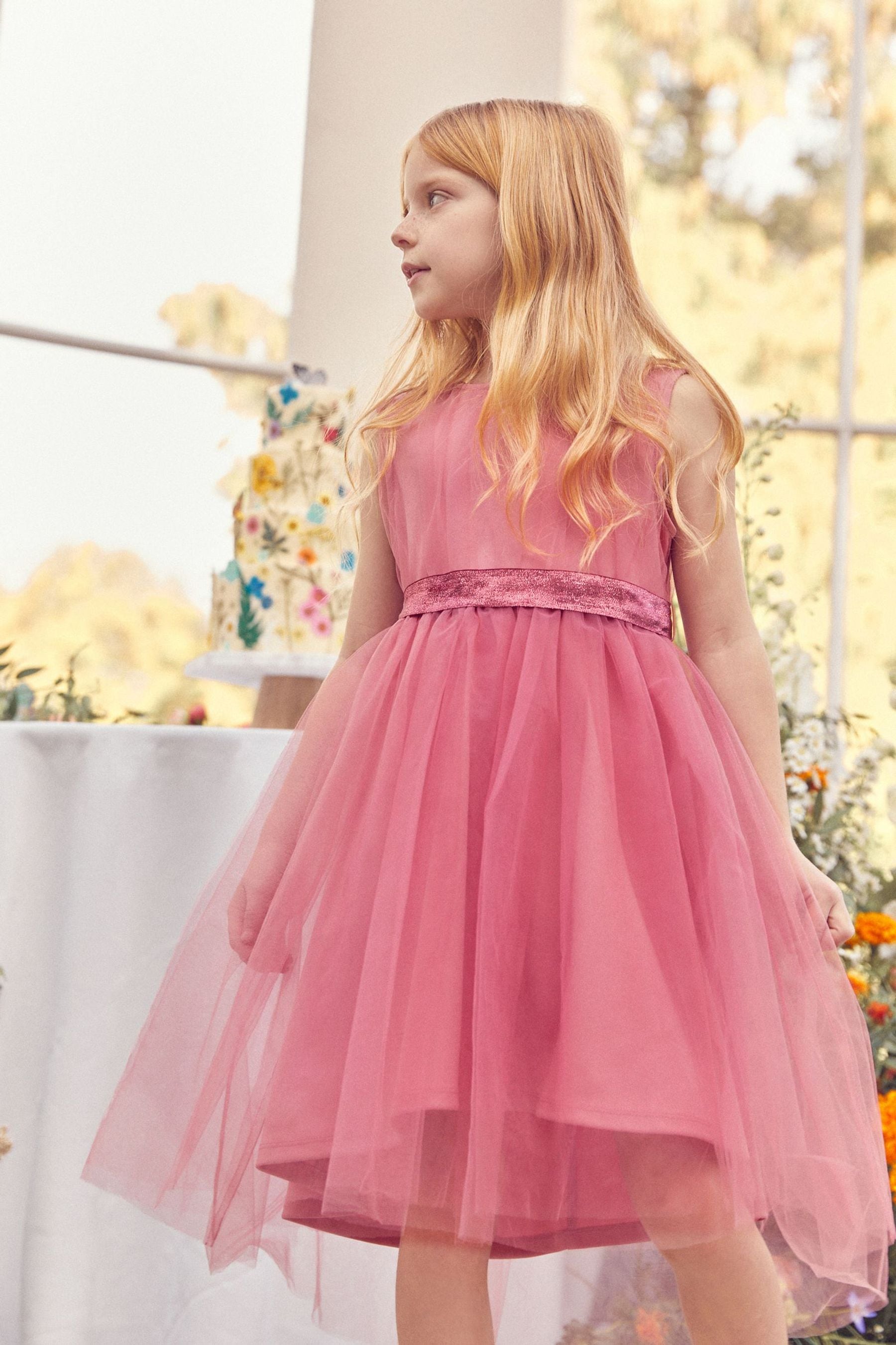 Rose Pink Mesh Tie Back Party Dress 3 16yrs