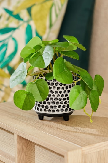 Green Artificial Chinese Money Plant In Monochrome Pot