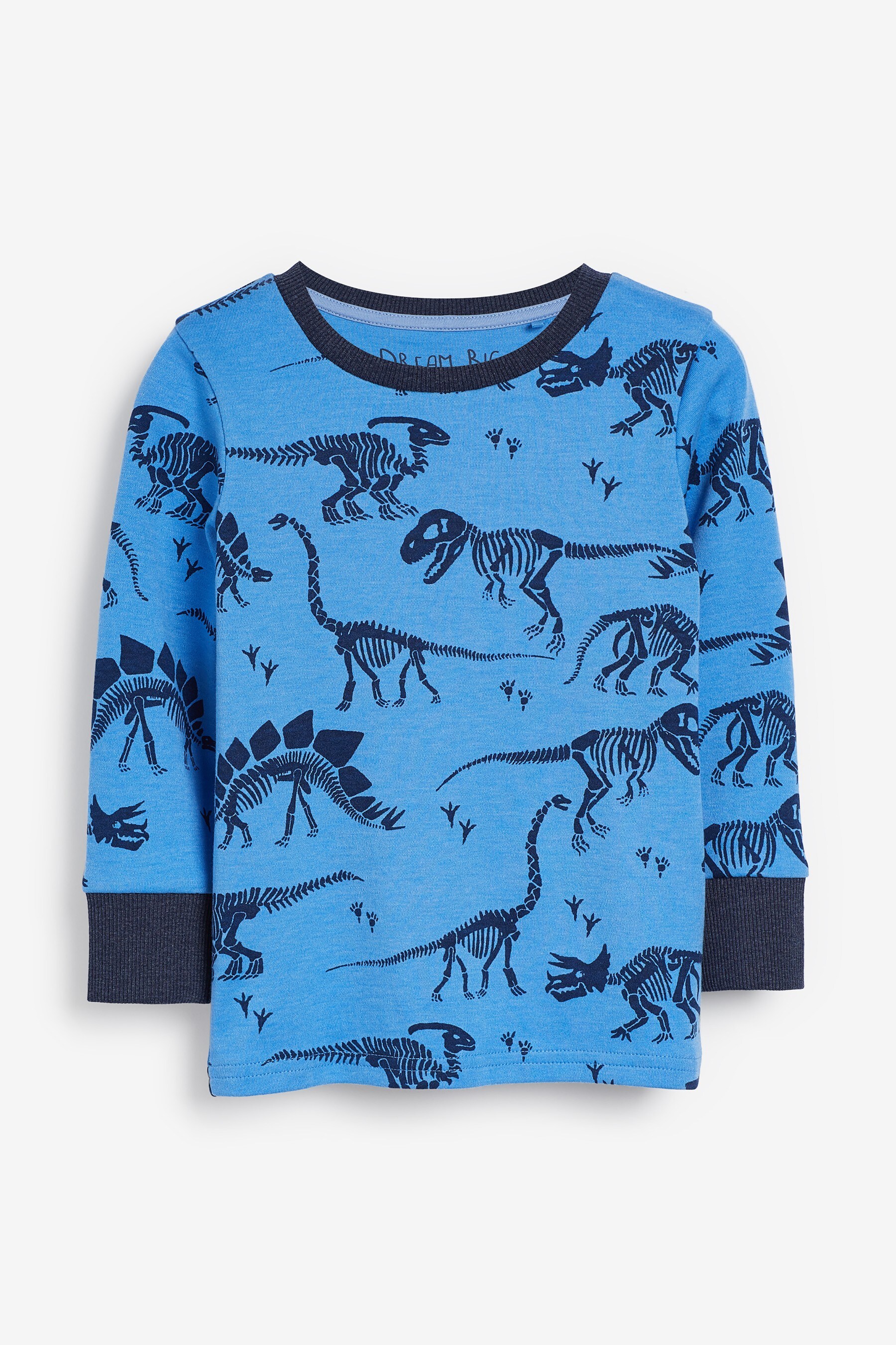 Buy Blue 2 Pack Dinosaur Snuggle Pyjamas (9mths-12yrs) from the Next UK ...