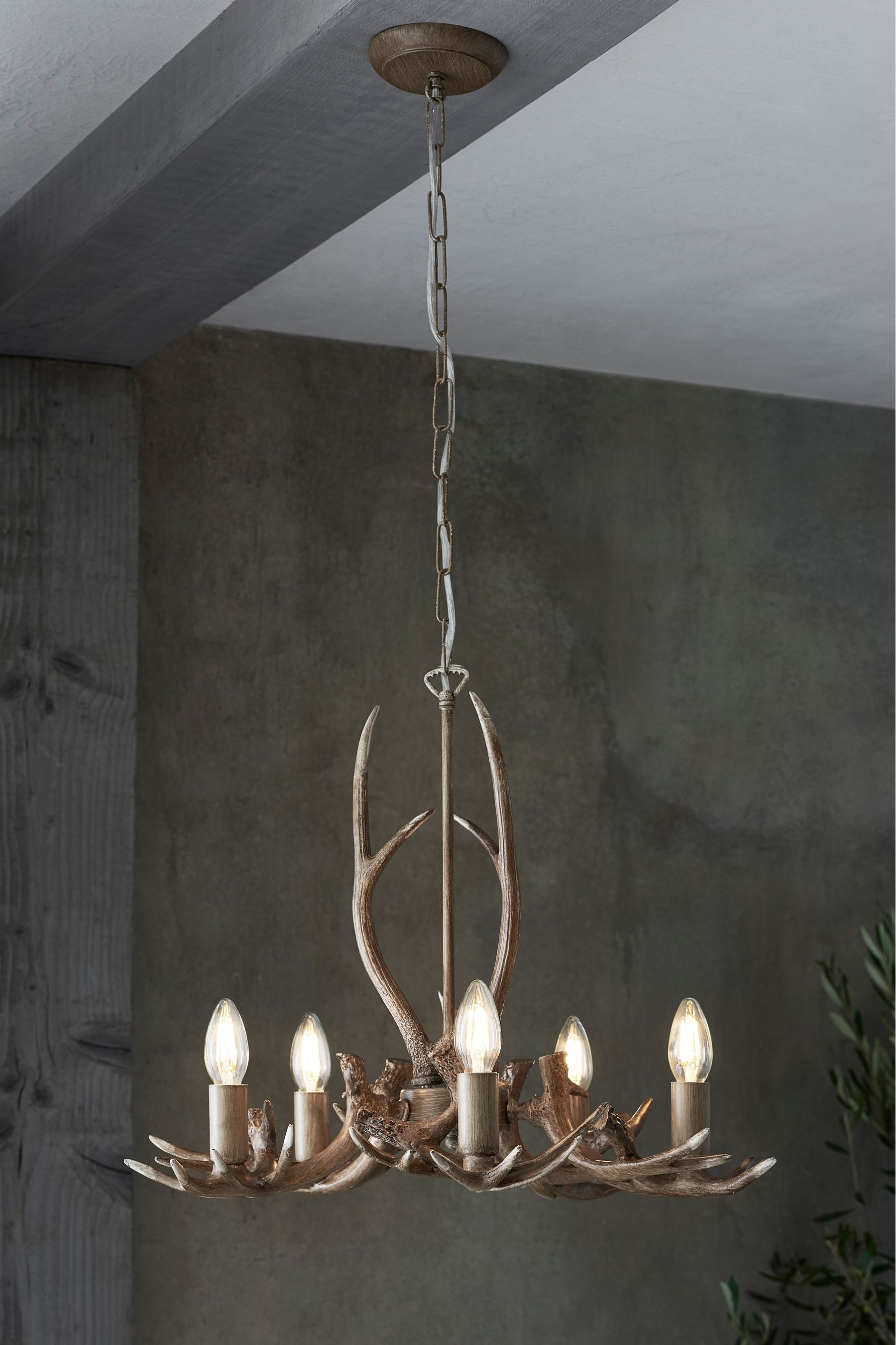 Antler ceiling store light next