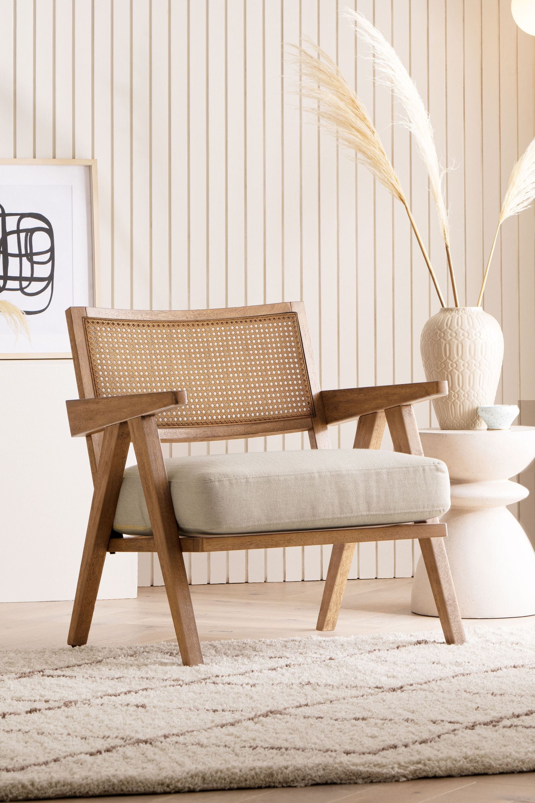 Modern rattan shop accent chair