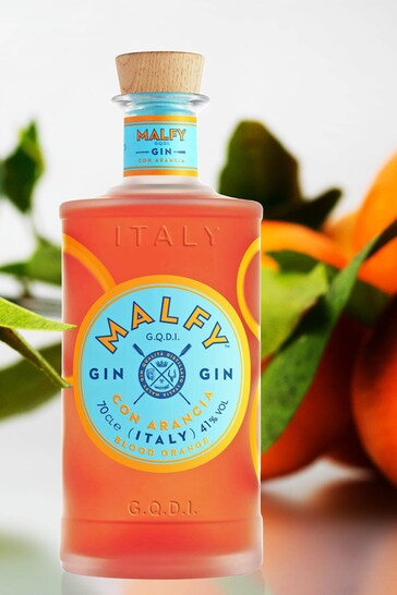 DrinksTime Malfy Gin con Arancia Sicilian Blood Orange