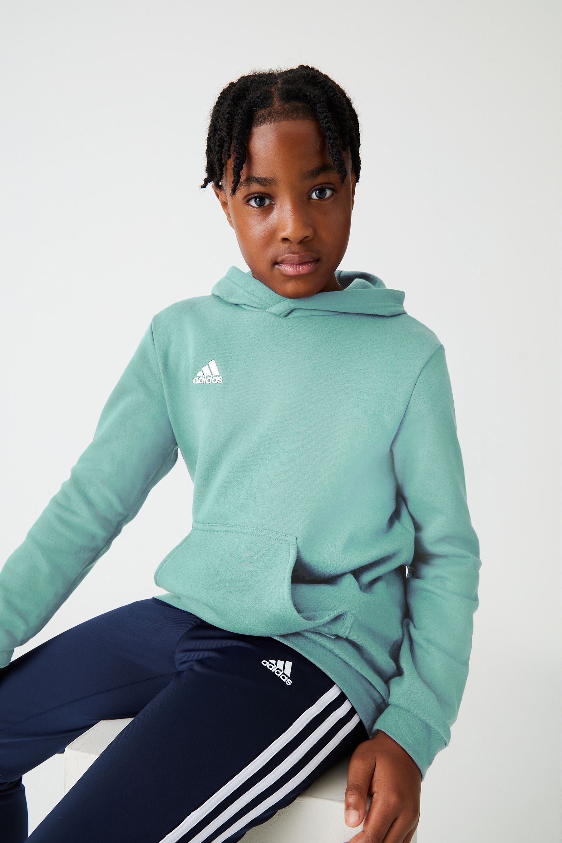 Buy adidas Mint Green Performance Entrada 22 Sweat Hoodie from the Next ...