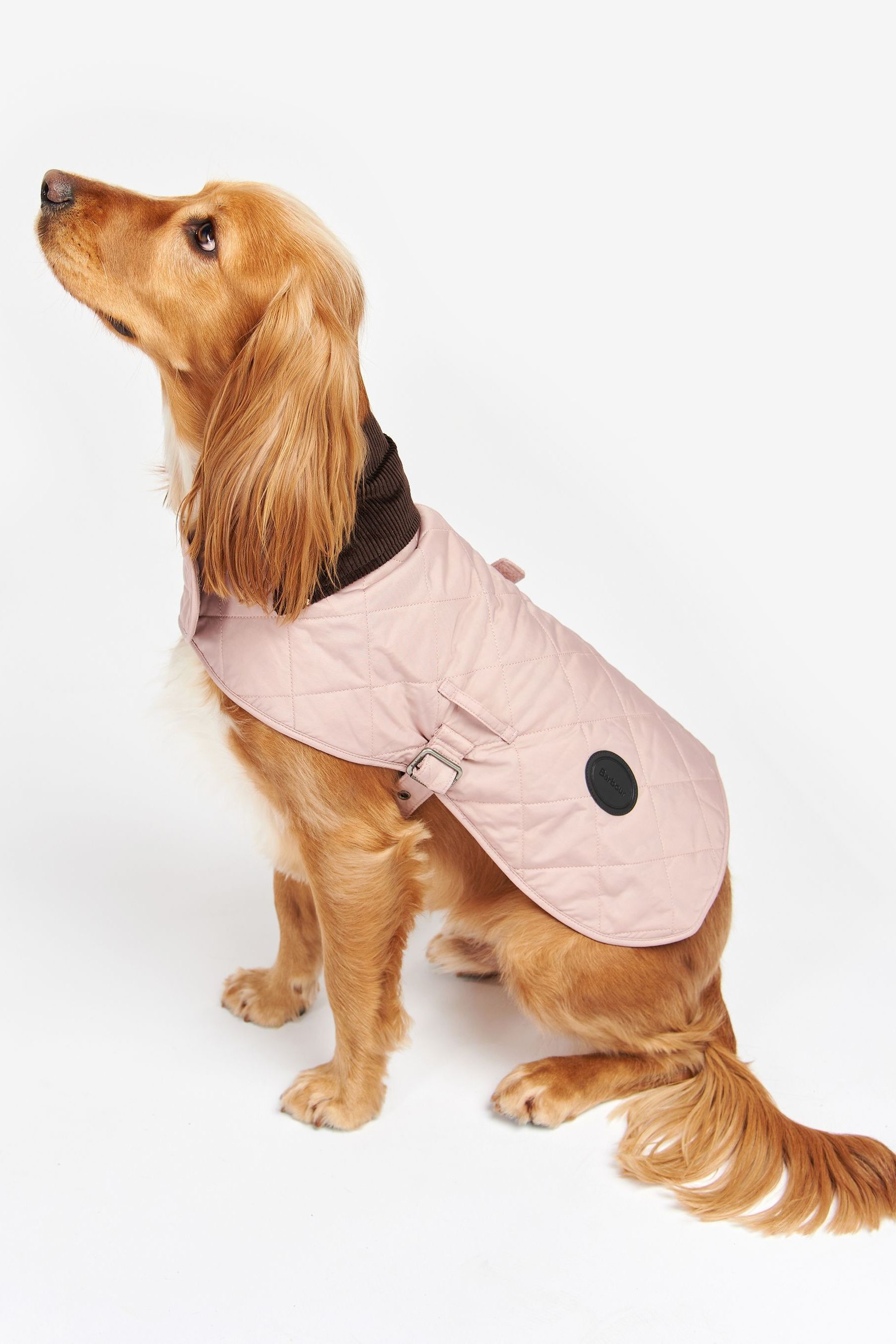 Barbour dog vest store