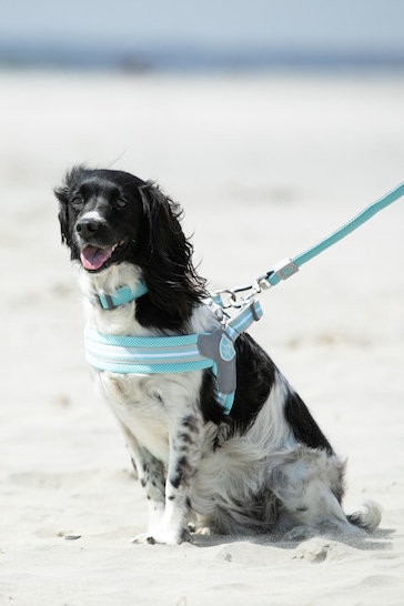 Hugo & Hudson Aqua Blue Mesh Easy Dog Harness
