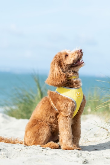 Hugo & Hudson Yellow Mesh Dog Harness