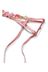 Victoria's Secret Rose Embroidered Garter Belt