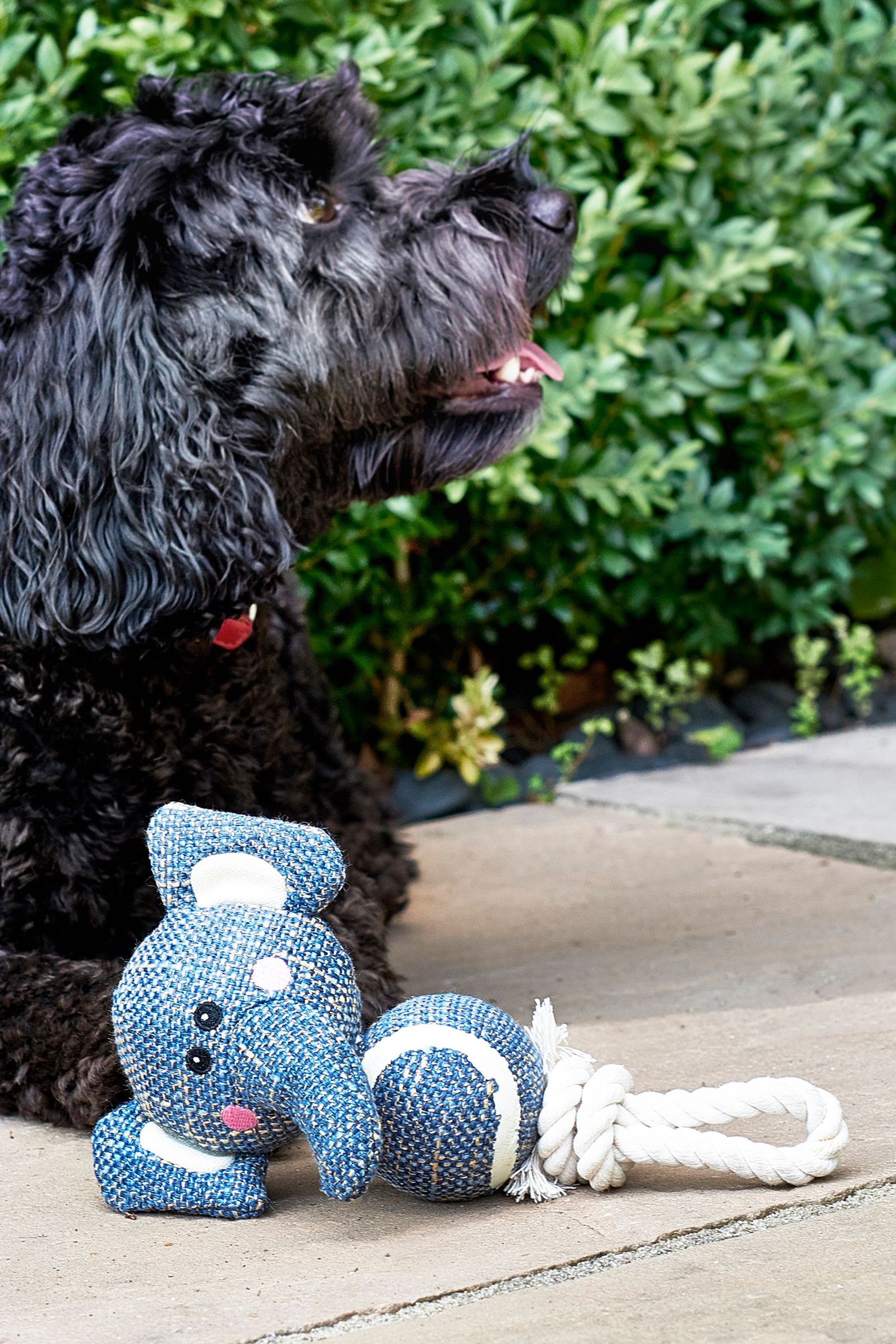 Dog toy sale elephant