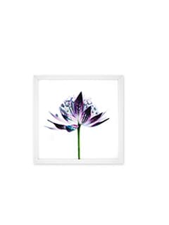Shop Photo Frames Now