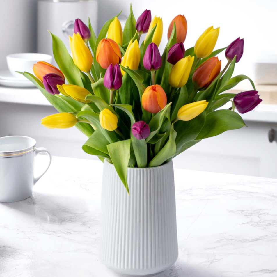 Tulip Ceramic