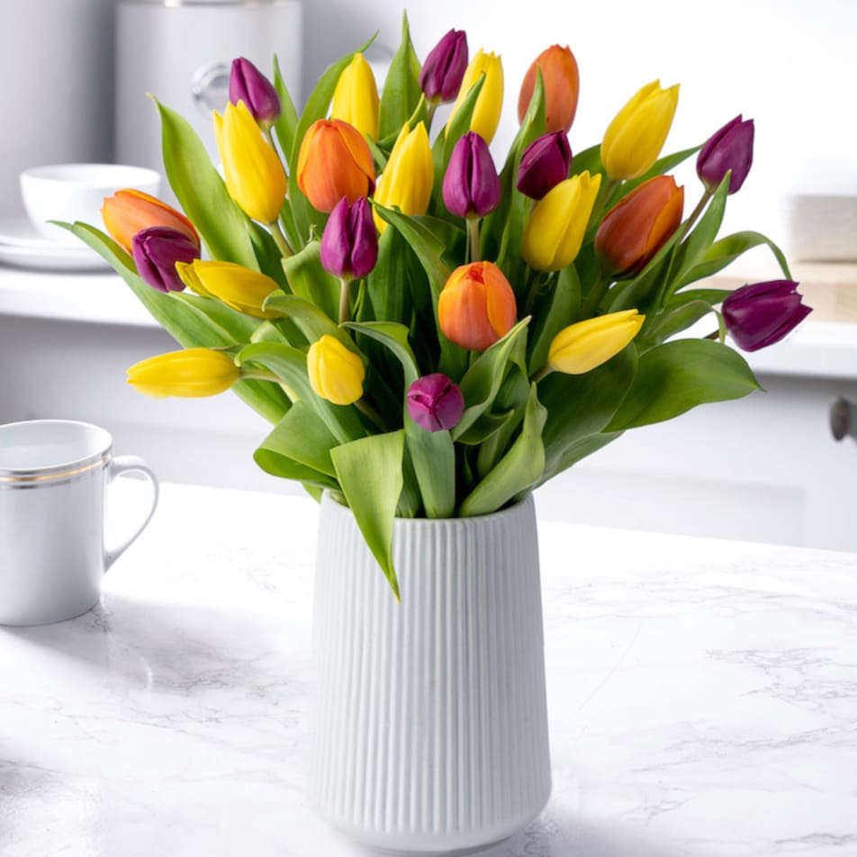 Tulip Ceramic with Chocs