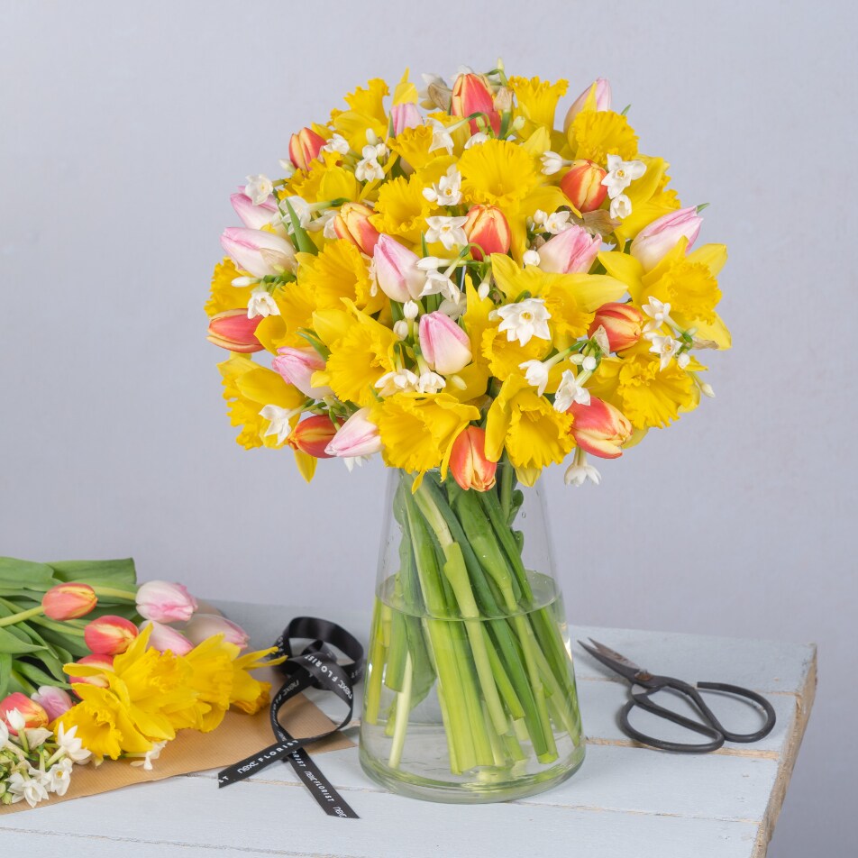 next.co.uk | March Seasonal Flower Box £28